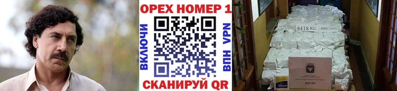 Кокаин Fish Scale  ссылка на мегу tor  Междуреченск  где найти  