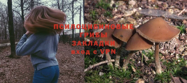 гидра Алзамай