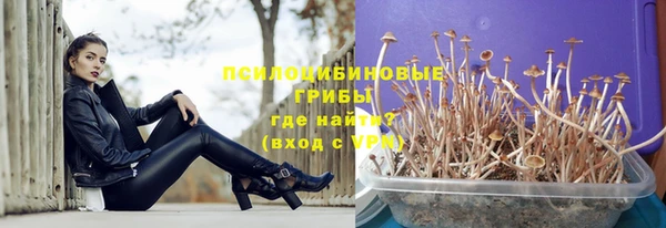 таблы Аркадак