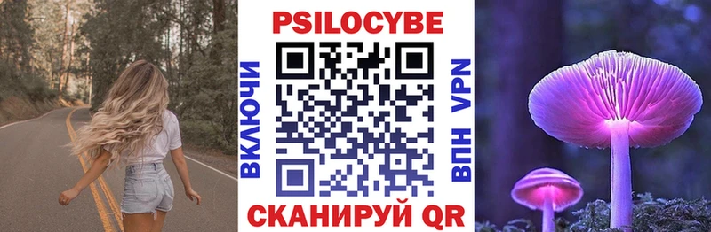 Псилоцибиновые грибы GOLDEN TEACHER  купить наркоту  Междуреченск 