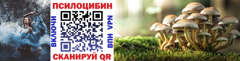Псилоцибиновые грибы Psilocybe Междуреченск